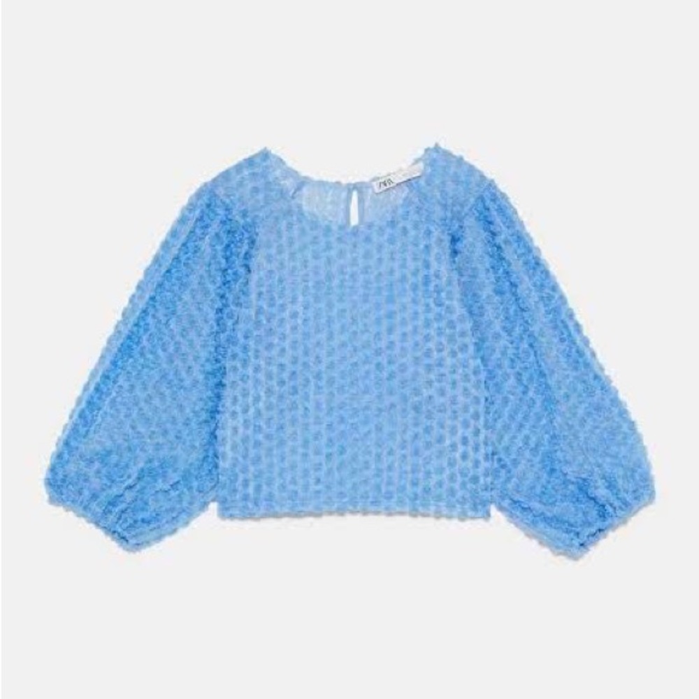 Zara blue floral puff-sleeves top